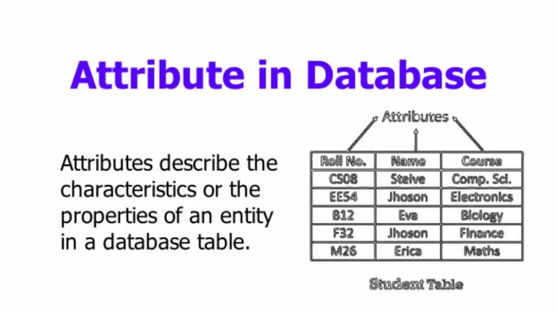 attribute in database